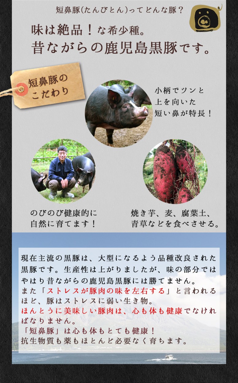 短鼻豚は味は絶品な希少種。昔ながらの鹿児島黒豚です。