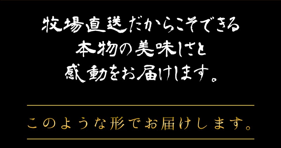 このように届きます