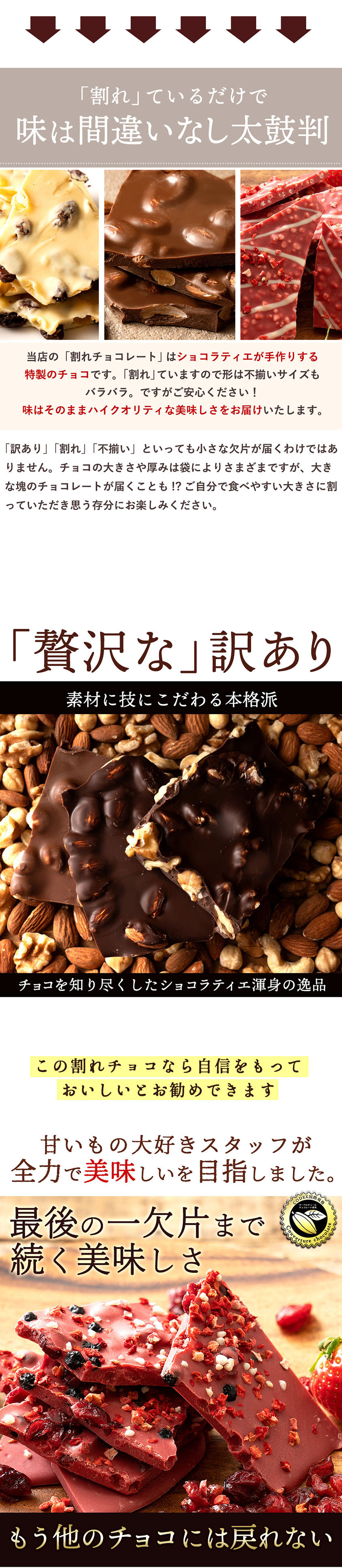大浜スイーツアカデミー 割れチョコ 「感動の11種類割れチョコMIX