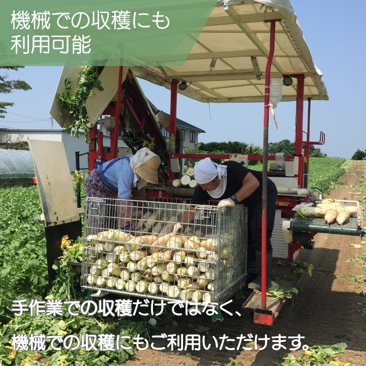楽天市場】【枚数限定☆1,000円以上で100円OFFクーポン！※要取得