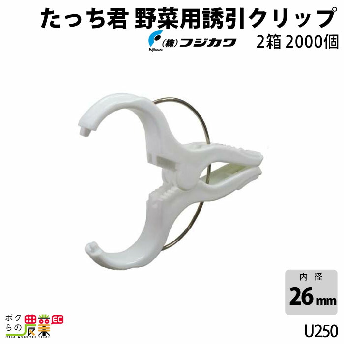 たっち君 U250 野菜用誘引クリップ 2箱2000個入り つる 茎 固定用