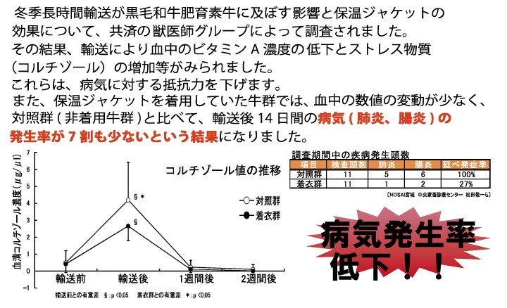 畜産 酪農 用品 素牛用 AGジャケット クラシック 300A 通常 子牛用