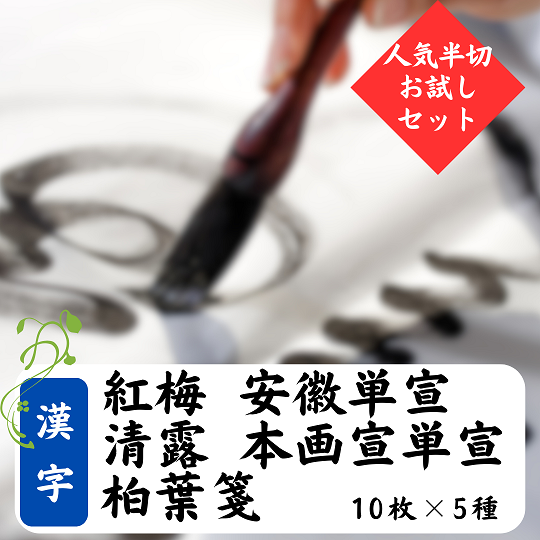 浄皮 単宣 画仙紙 宣紙 書道 半切 二反 書道用紙 半切 紅星牌 100枚」の人気商品一覧 | 安い商品を通販