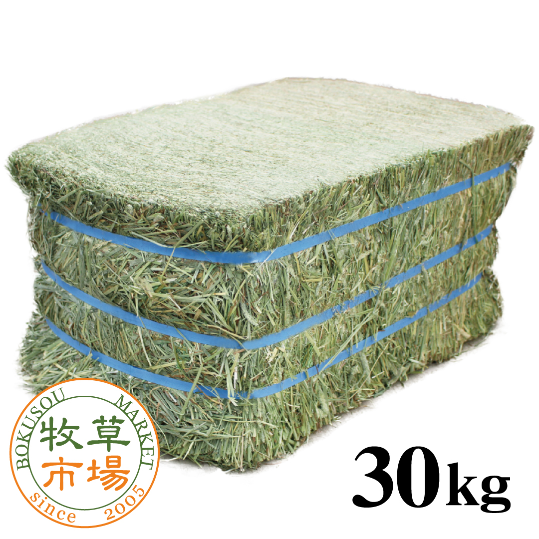 牧草市場 カナダ産 プレミアム チモシー 1番刈り お試しサイズ 100g