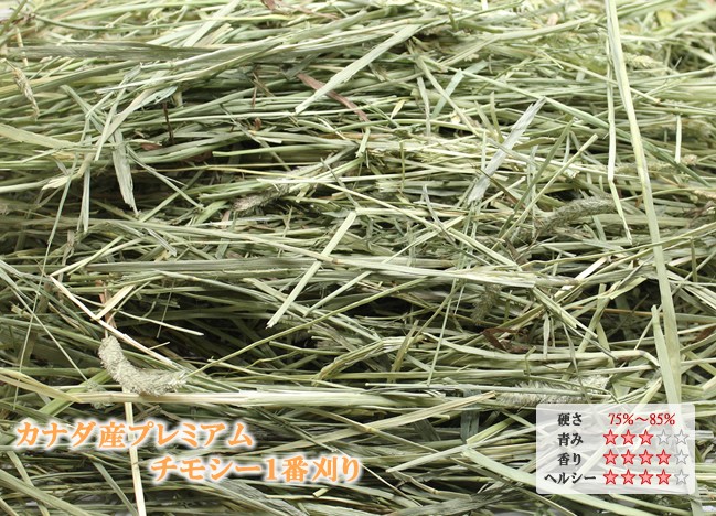 牧草市場 カナダ産 プレミアム チモシー 1番刈り 1kg (500g×2パック