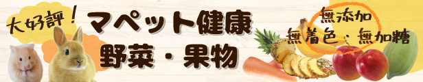 タイトル画像