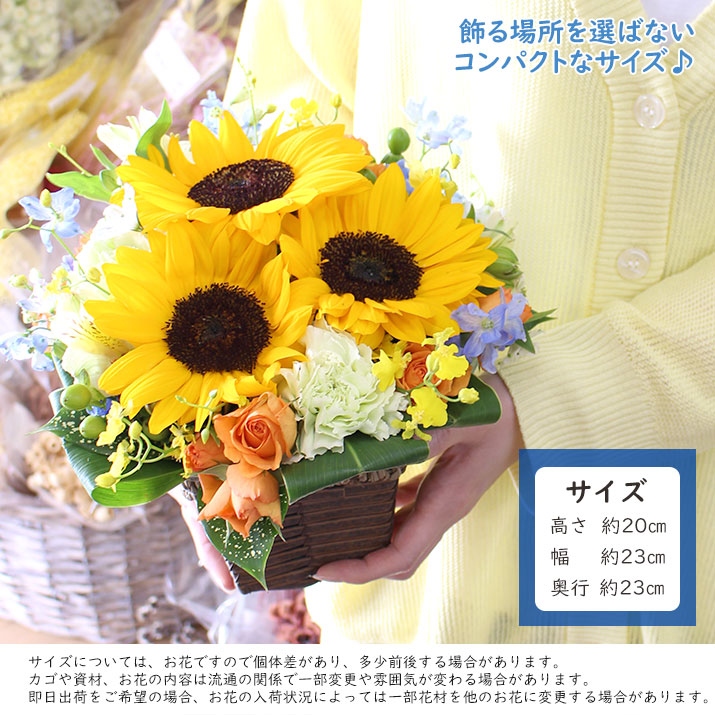 父の日 生花 アレンジメント ひまわり ヒマワリ ギフト 花 誕生日 御祝