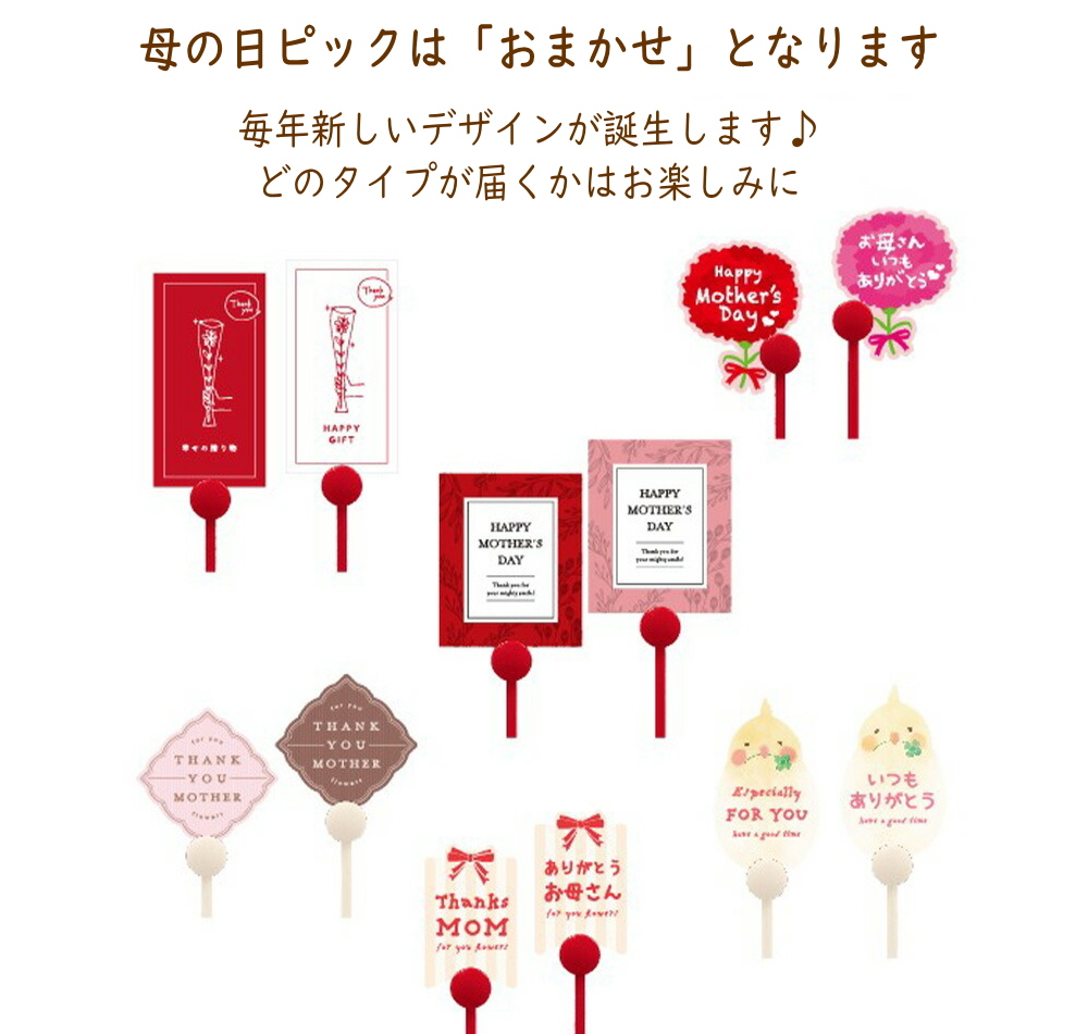 母の日 メロン カーネーション セット 美味しい果実 母の日ギフト プレゼント 早割