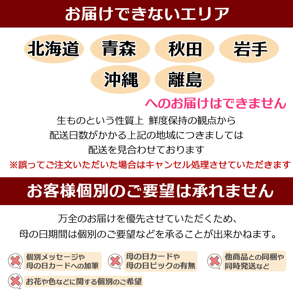 母の日インフォ2