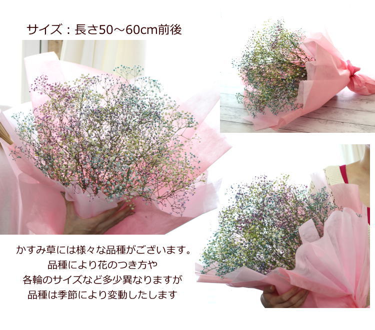 かすみ草の花束 ブーケ パステル レインボー カスミソウ ギフト 誕生