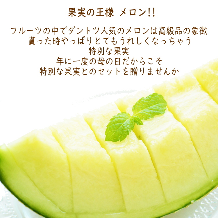 母の日 メロン カーネーション セット 美味しい果実 母の日ギフト プレゼント 早割