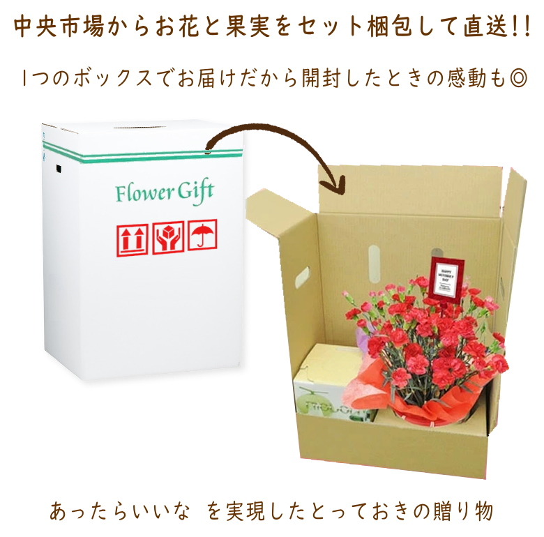母の日 メロン カーネーション セット 美味しい果実 母の日ギフト プレゼント 早割
