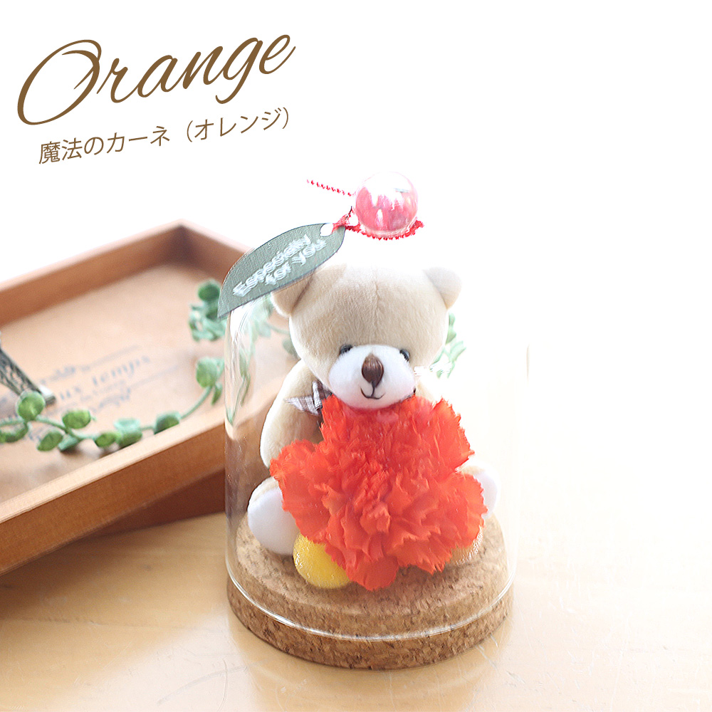 母の日 色が変わる魔法のカーネーション バラ 花 プリザーブドフラワー