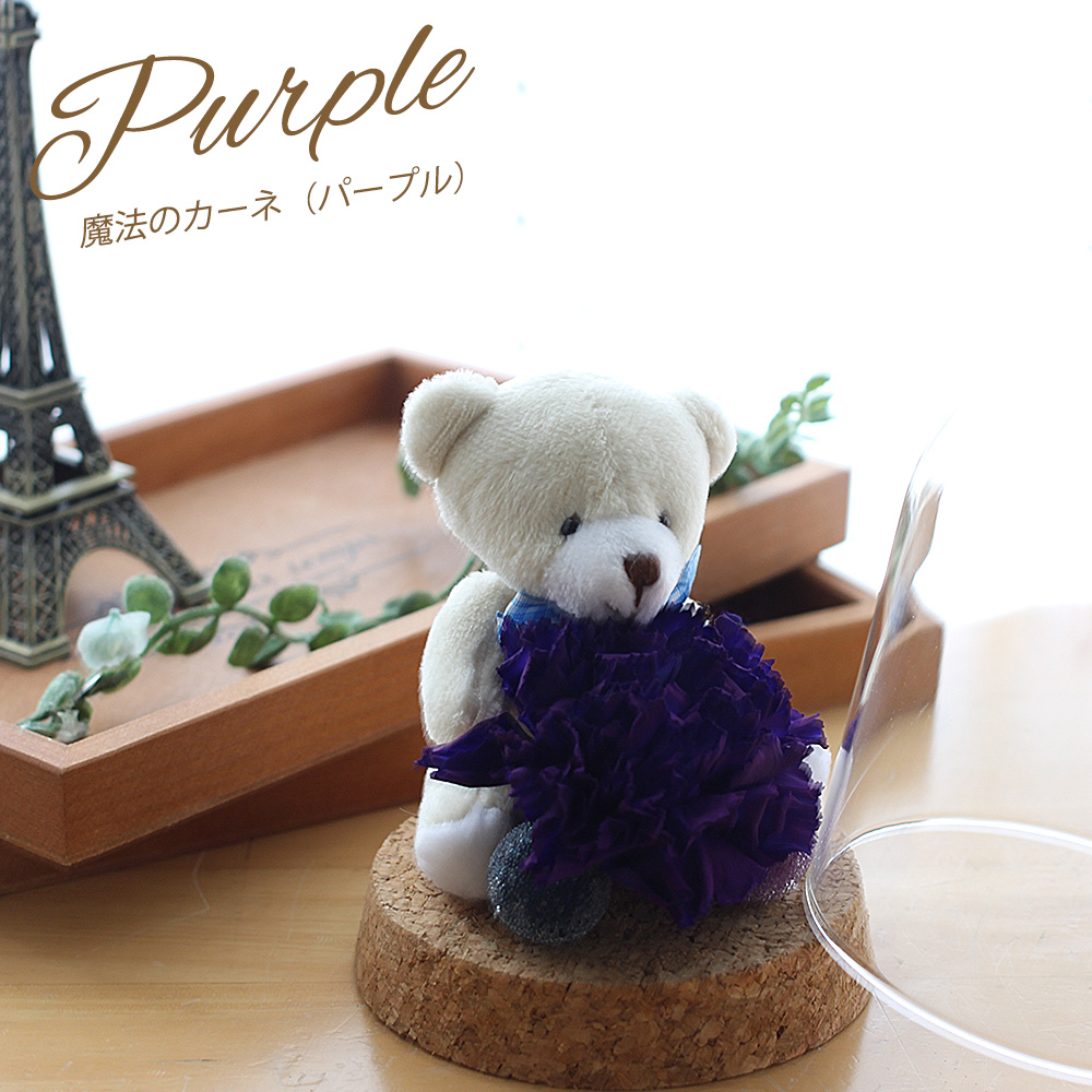 母の日 色が変わる魔法のカーネーション バラ 花 プリザーブドフラワー
