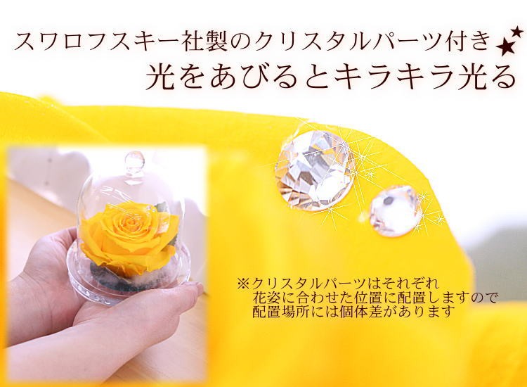 大輪バラ プリザーブドフラワー「レイナ（ガラスドーム