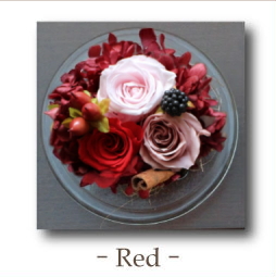 選べる7色♪幸せを贈る『幸運のうさぎ〜ラパン〜』プリザーブド