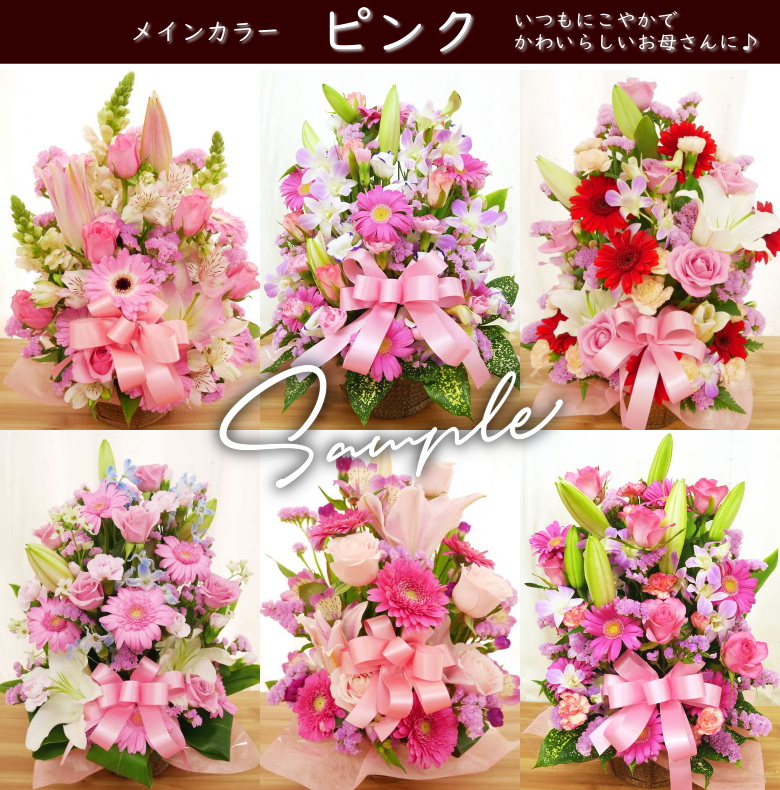 カーネーション 母の日 プレゼント ピンク