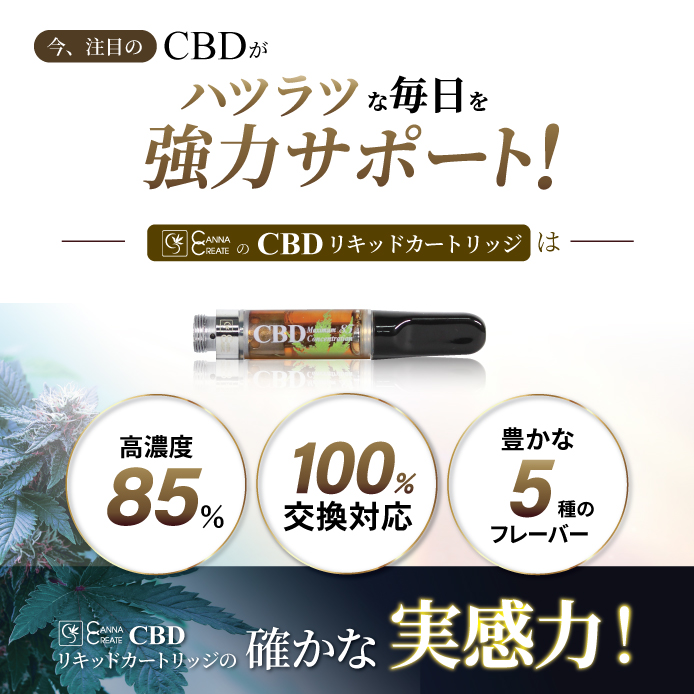 STAR ONLINE Yahoo!店 - CBD｜Yahoo!ショッピング