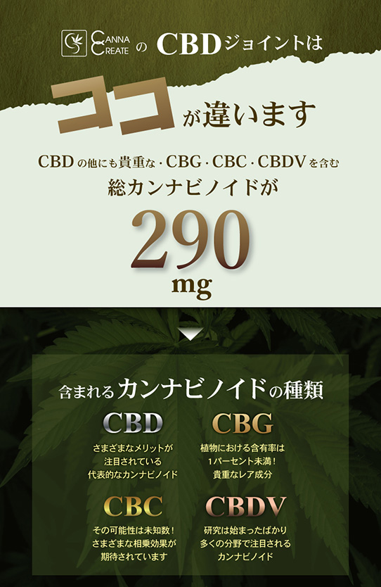 CANNACREATE CBDジョイント 高濃度 CBD CBG ハーブ ジョイント 超お得
