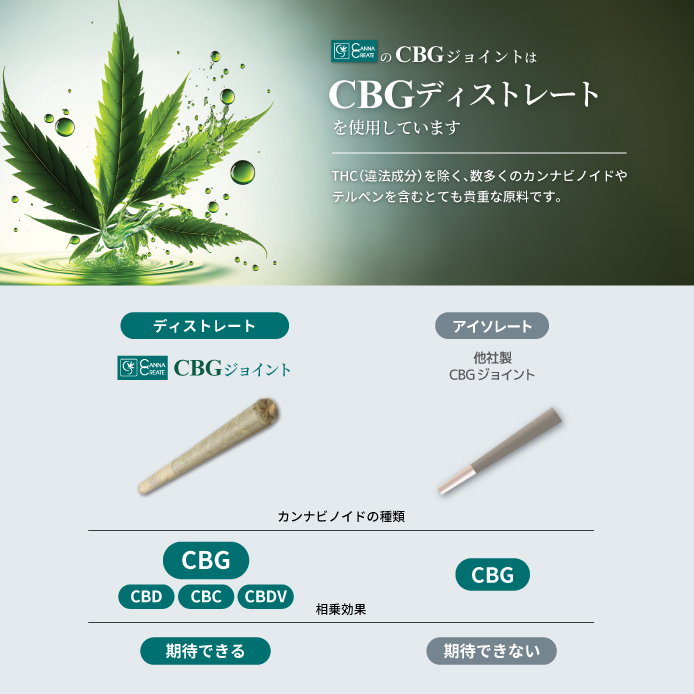 CANNACREATE CBG ジョイント 高濃度 200mg ハーブ ジョイント 日本製