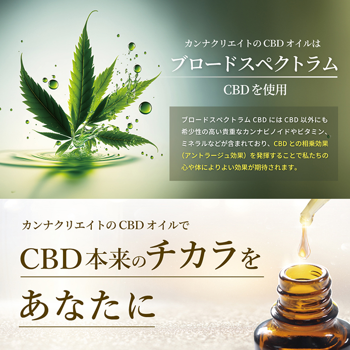 CANNACREATE CBD オイル 10g 高濃度 50% CBD5000mg 高品質 安心