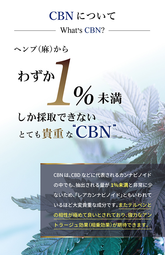 【お得な3本セット】プレミアム CBNジョイント 高濃度 CBN CBD ハーブ ジョイント 日本製 THCフリー 国内製造 モリンガ CANNACREATE カンナクリエイト(PJO-N*3s)｜bonalbayafuu-shop｜07