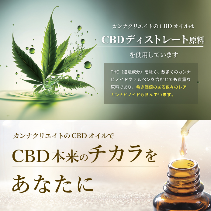 CANNACREATE CBD オイル 濃度 15% 10g CBD1500mg 高品質 安心 日本製