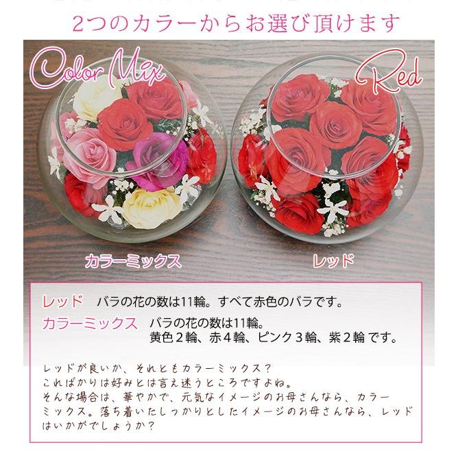 還暦祝い 女性 プレゼント 花 母 プリザーブドフラワーよりも長持ち HAPPYマザーフラワー 赤色 2週間発送コース ボトルフラワー 60歳 お祝い 花束、アレンジメント 還暦祝い 女性 プレゼント 花 母 プリザーブドフラワーよりも長持ち HAPPYマザーフラワー 赤色 2週間発送コース ボトルフラワー 60歳 お祝い 花束、アレンジメント