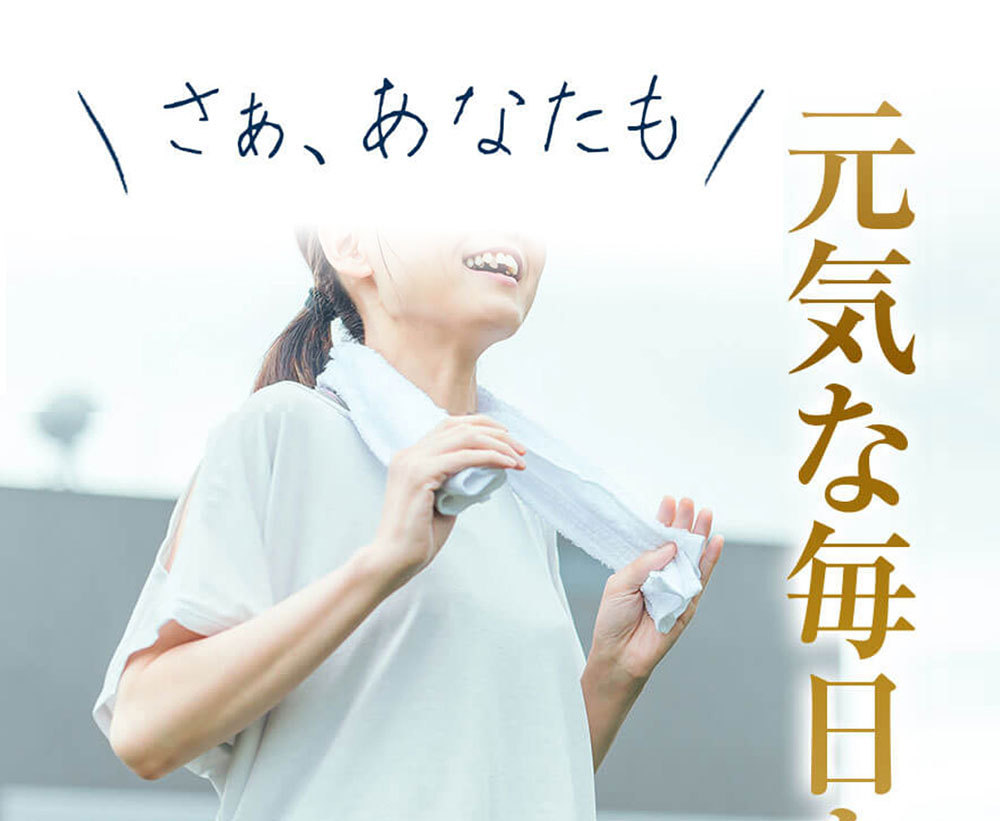 歩みエール　４袋 歩みエール 4袋