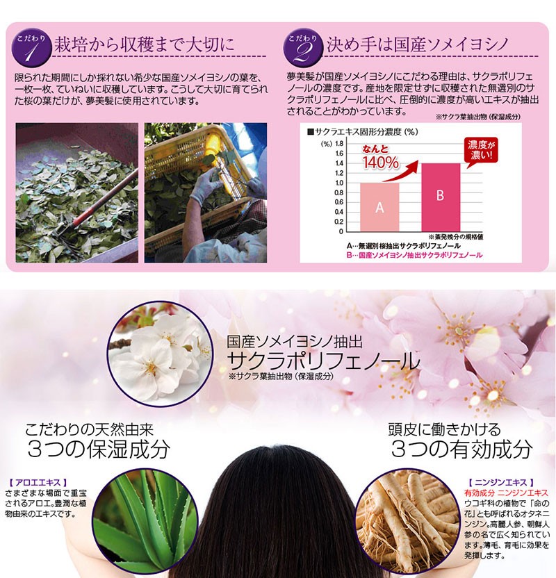 送料無料2本セット 頭皮 育毛剤 発毛 薬用育毛剤 夢美髪
