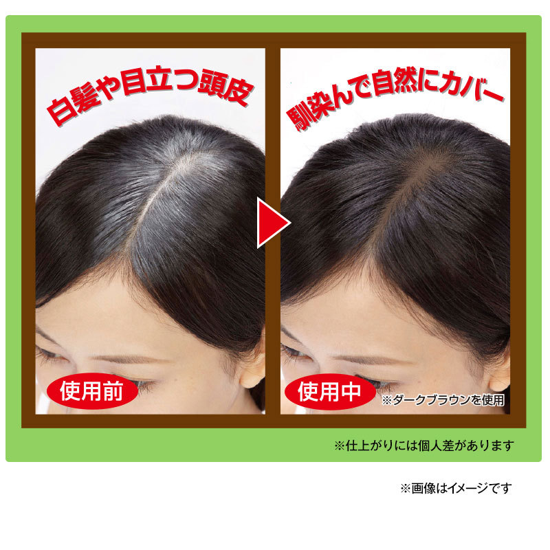 日本製 幅広スティックヘアファンデーション 9g 部分染め用 白髪染め