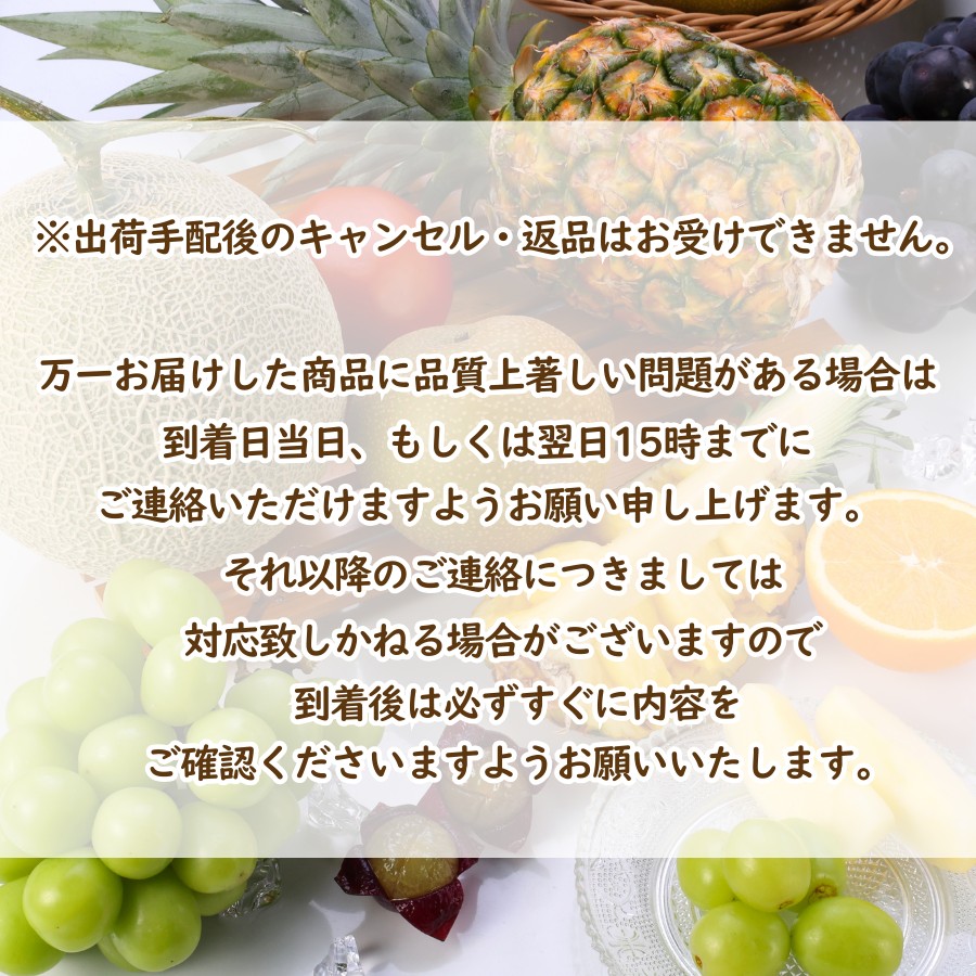 おうちdeボンマルシェ 夏ギフト お中元 季節の果物 詰め合わせ セット