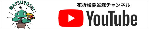盆栽道具