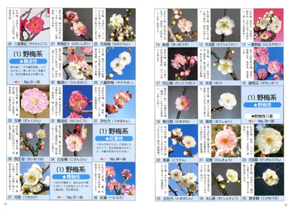 梅・長寿梅育て方書籍 解説ページ