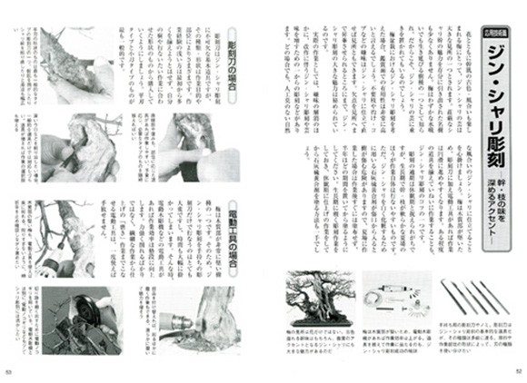 梅・長寿梅育て方書籍 応用技術ページ
