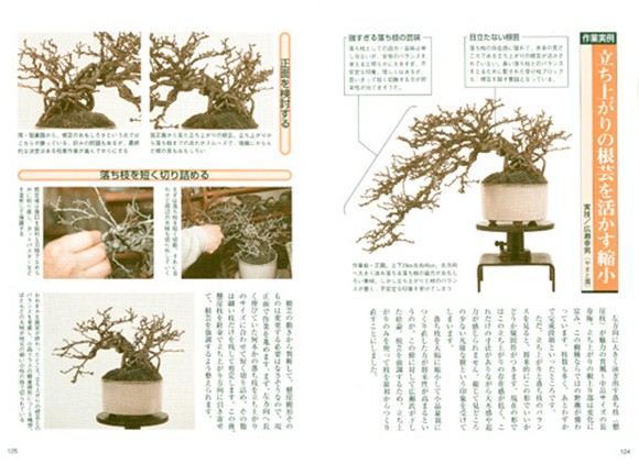 梅・長寿梅育て方書籍 樹まとめページ