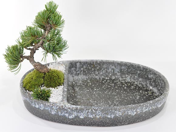 虹泉　盆栽鉢　小品　ミニ 楽天市場】【中古】 盆栽鉢 平安虹泉 小鉢 長辺 約 7.4cm 長方鉢