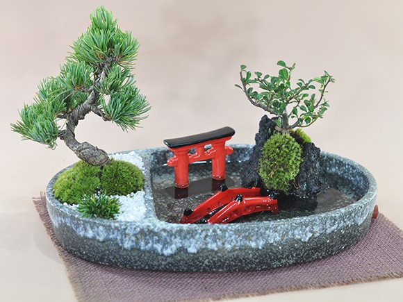 盆栽 和の庭 池泉庭園（ちせんていえん） ミニ盆栽 bonsai ぼん