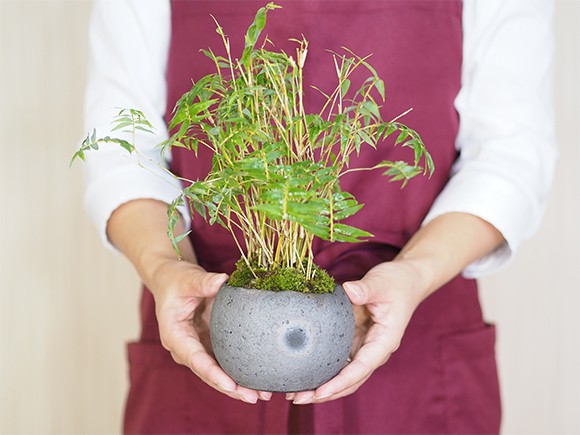 1345 盆栽　盆栽鉢　植木鉢　ミニ鉢　竹内一真 楽天市場】鉢マニア ミニ盆栽鉢の通販