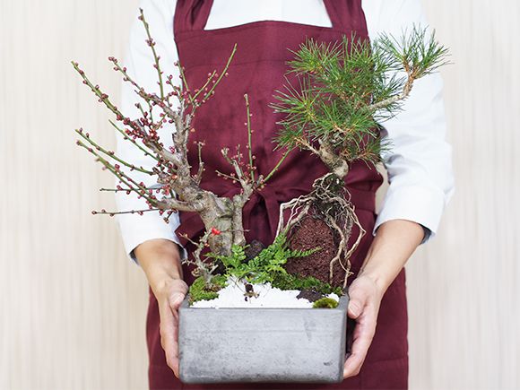 黒松と紅白梅の寄せ植え 松盆栽 鉢植え 寄せ植え ギフト 贈り物 黒松と紅白梅の寄せ植え 松盆栽 鉢植え 寄せ植え ギフト 贈り物