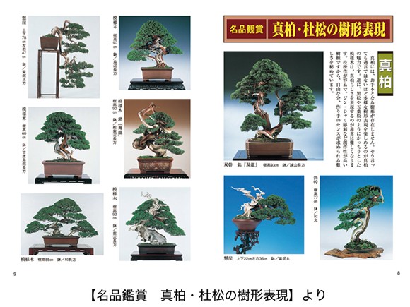 【書籍】盆栽 真柏・杜松の育て方本 ブック 近代出版