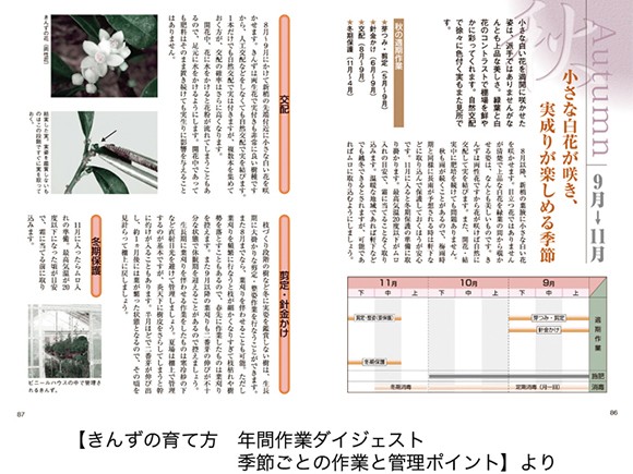 【書籍】盆栽 老爺柿・きんずの育て方本 ブック 近代出版