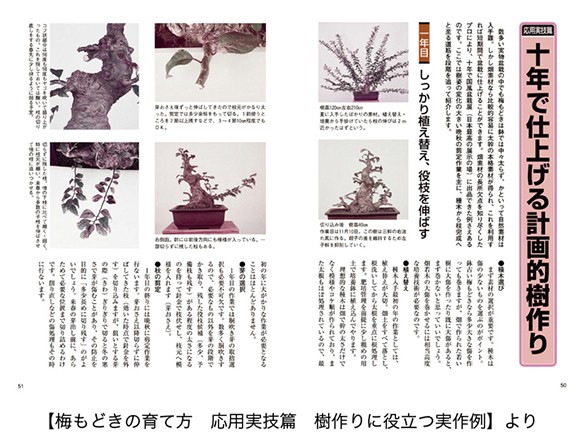 【書籍】盆栽 梅もどき・海棠の育て方本 ブック 近代出版