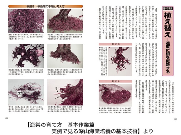 【書籍】盆栽 梅もどき・海棠の育て方本 ブック 近代出版