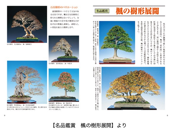 【書籍】盆栽 楓・けやきの育て方本 ブック 近代出版