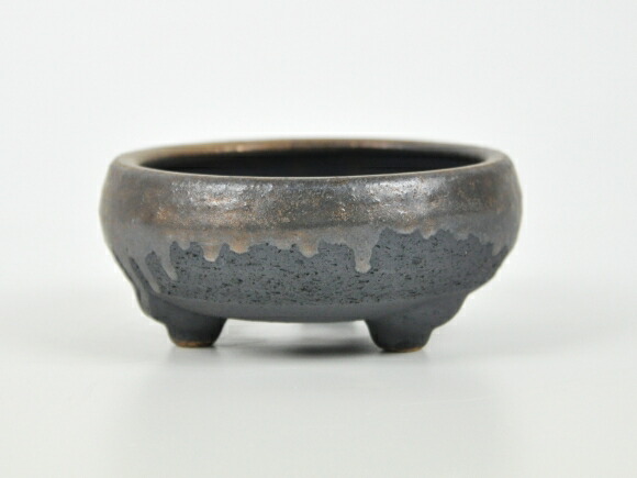 [ bonsai pot ][ Shigaraki .].. teppachi bowl gold paint 4 number pot 