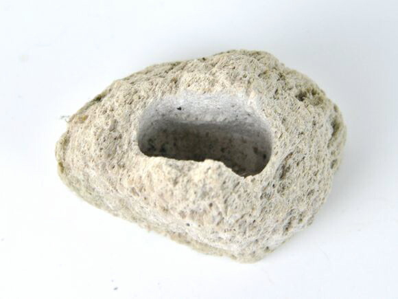  pumice white hole none small 