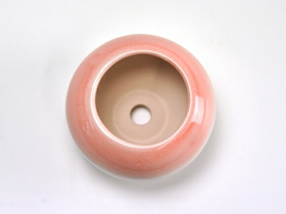 ピンク3.5号 鉢幅約11cm×高さ約7cm