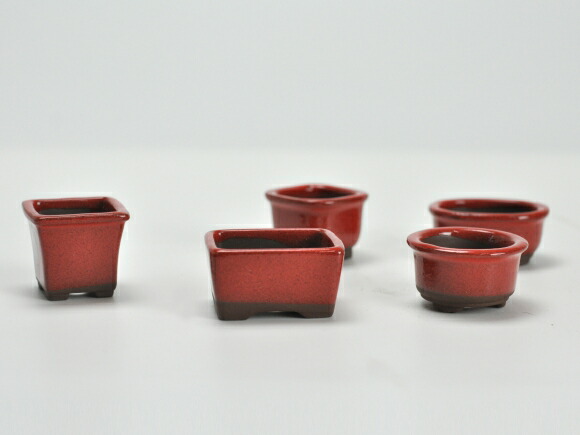  red . small bowl 12 point set pot width approximately 4cm× height approximately 3.5cm