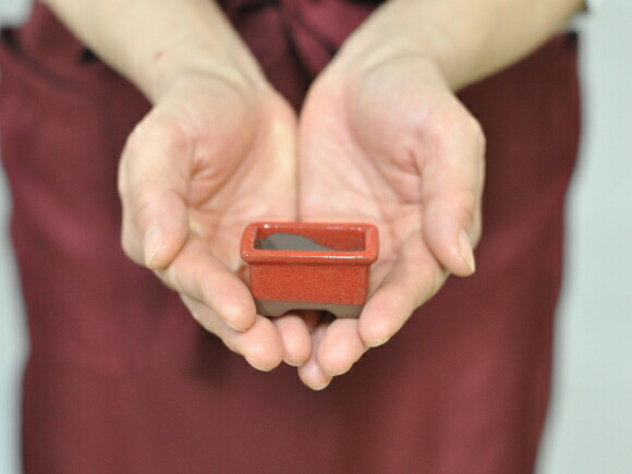  red . small bowl 12 point set pot width approximately 4cm× height approximately 3.5cm